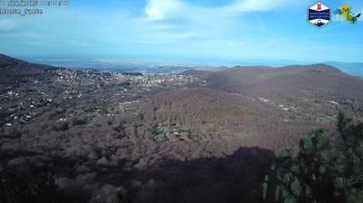 immagine della webcam nei dintorni di Rocca Priora: webcam Domatore
