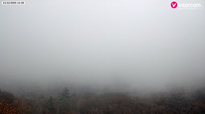 immagine della webcam nei dintorni di Sangiano: webcam Colazza