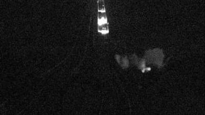 immagine della webcam nei dintorni di Niella Tanaro: webcam Salmour