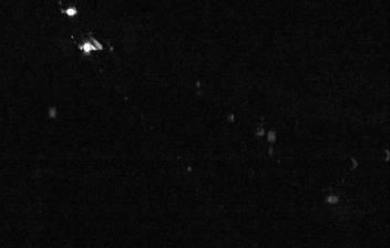 immagine della webcam nei dintorni di Salmour: webcam Magliano Alpi