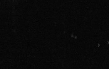 immagine della webcam nei dintorni di Niella Belbo: webcam Magliano Alpi