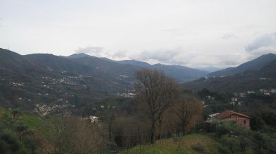 immagine della webcam nei dintorni di Cicagna: webcam Tribogna