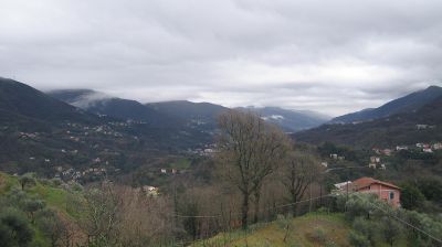 immagine della webcam nei dintorni di Bogliasco: webcam Tribogna