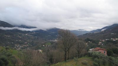 immagine della webcam nei dintorni di Rapallo: webcam Tribogna