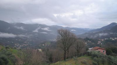 immagine della webcam nei dintorni di Santa Margherita Ligure: webcam Tribogna