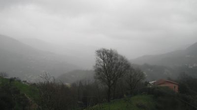 immagine della webcam nei dintorni di Santa Margherita Ligure: webcam Tribogna