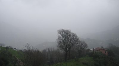 immagine della webcam nei dintorni di San Colombano Certenoli: webcam Tribogna