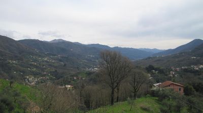 immagine della webcam nei dintorni di Lavagna: webcam Tribogna