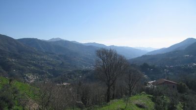 immagine della webcam nei dintorni di Cicagna: webcam Tribogna