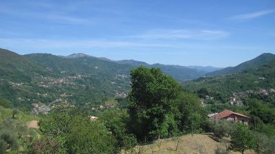 immagine della webcam nei dintorni di Rovegno: webcam Tribogna