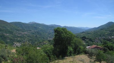 immagine della webcam nei dintorni di Cavi: webcam Tribogna