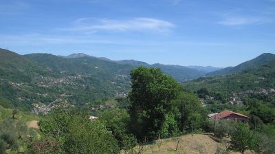 immagine della webcam nei dintorni di Cavi: webcam Tribogna