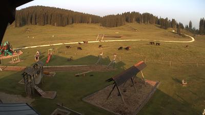 immagine della webcam nei dintorni di Conco: webcam Valdastico