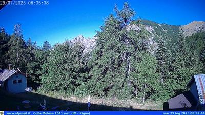 immagine della webcam nei dintorni di Cipressa: webcam Castel Vittorio