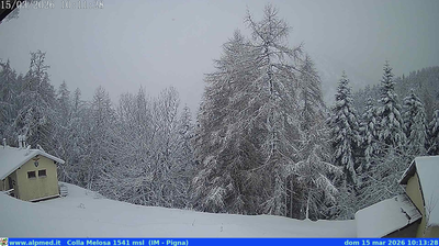 immagine della webcam nei dintorni di Cipressa: webcam Castel Vittorio