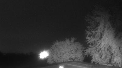 immagine della webcam nei dintorni di Novellara: webcam Montechiarugolo