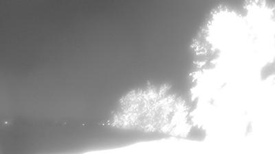 immagine della webcam nei dintorni di Boretto: webcam Montechiarugolo