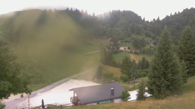 immagine della webcam nei dintorni di Col Indes: webcam Revine Lago