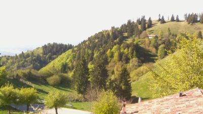 immagine della webcam nei dintorni di Limana: webcam Revine Lago