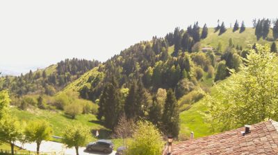 immagine della webcam nei dintorni di Vittorio Veneto: webcam Revine Lago