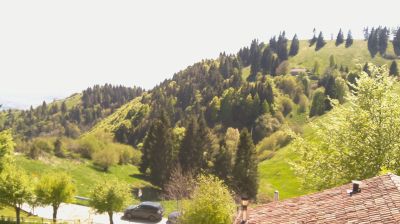 immagine della webcam nei dintorni di Budoia: webcam Revine Lago