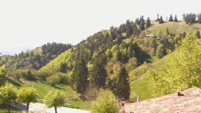 immagine della webcam nei dintorni di Pian del Cansiglio: webcam Revine Lago