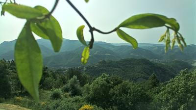 immagine della webcam nei dintorni di Marradi: webcam Castel del Rio