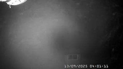 immagine della webcam nei dintorni di Cabella Ligure: webcam Caldirola