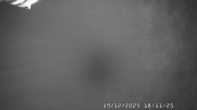 immagine della webcam nei dintorni di Ferriere: webcam Caldirola