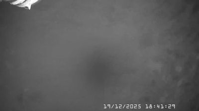 immagine della webcam nei dintorni di Brallo di Pregola: webcam Caldirola