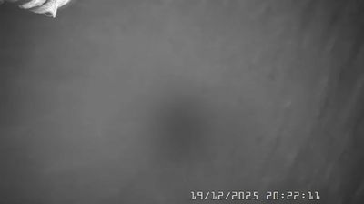 immagine della webcam nei dintorni di Cantalupo Ligure: webcam Caldirola