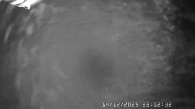 immagine della webcam nei dintorni di Cabella Ligure: webcam Caldirola