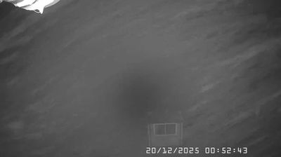 immagine della webcam nei dintorni di Zerba: webcam Caldirola