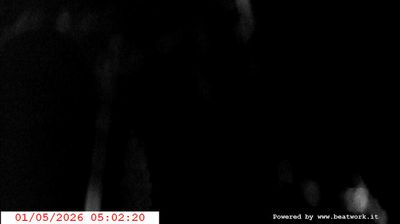 immagine della webcam nei dintorni di Sant'Antonio di Mavignola: webcam San Lorenzo in Banale