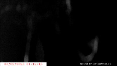 immagine della webcam nei dintorni di Fiavè: webcam San Lorenzo in Banale