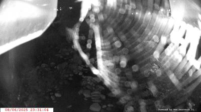 immagine della webcam nei dintorni di Campo Carlo Magno: webcam Spiazzo