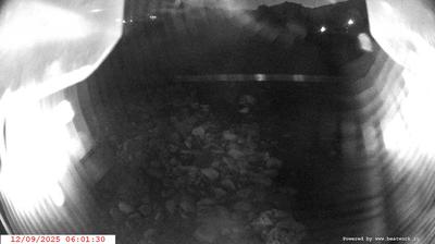 immagine della webcam nei dintorni di Sant'Antonio di Mavignola: webcam Spiazzo