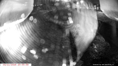 immagine della webcam nei dintorni di Daone: webcam Spiazzo