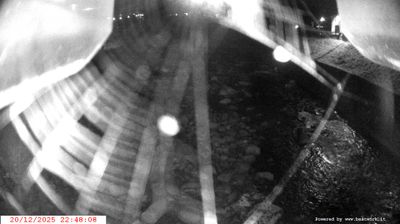 immagine della webcam nei dintorni di Monte Spinale: webcam Spiazzo