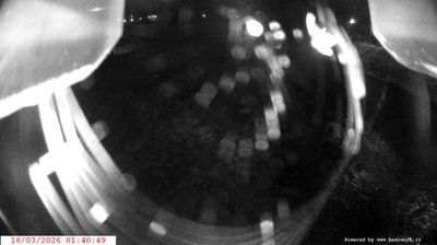 immagine della webcam nei dintorni di Valdaone: webcam Spiazzo