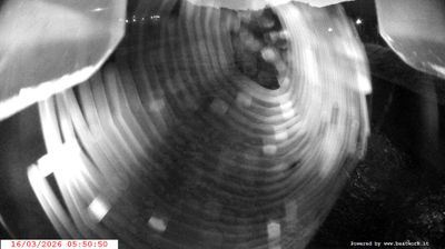 immagine della webcam nei dintorni di Zuclo: webcam Spiazzo