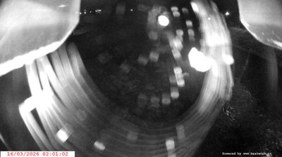 immagine della webcam nei dintorni di Vermiglio: webcam Spiazzo