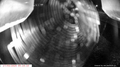 immagine della webcam nei dintorni di Carisolo: webcam Spiazzo