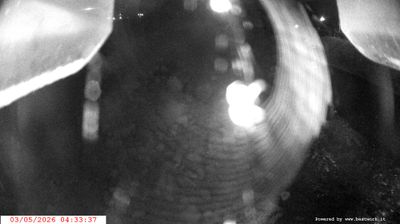immagine della webcam nei dintorni di Valdaone: webcam Spiazzo