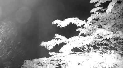 immagine della webcam nei dintorni di Spiazzo: webcam Zuclo