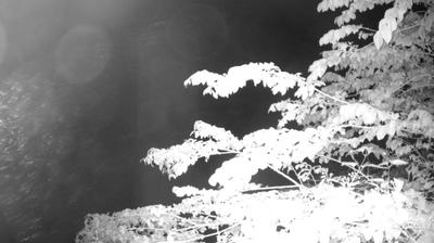 immagine della webcam nei dintorni di Ledro: webcam Zuclo