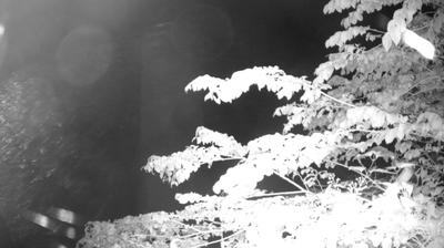immagine della webcam nei dintorni di Tenno: webcam Zuclo