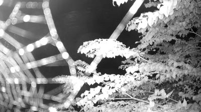 immagine della webcam nei dintorni di Ledro: webcam Zuclo