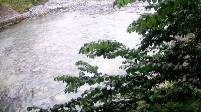 immagine della webcam nei dintorni di Carisolo: webcam Zuclo