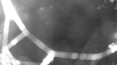 immagine della webcam nei dintorni di San Lorenzo in Banale: webcam Zuclo